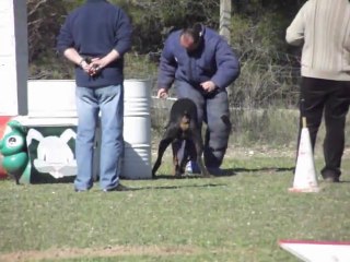 ARES DES PLATEAUX DE FEU