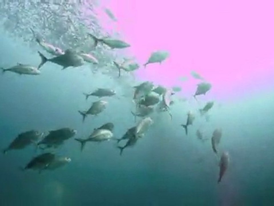 Underwater Love - Maldives