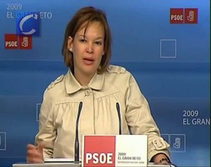 Leire Pajín arremete contra el tesorero del PP