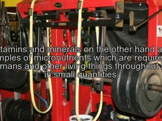 The Right Way to Have Proper Nutrition