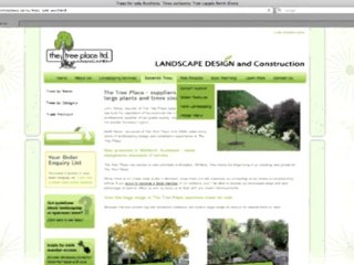 Landscaping and design in Auckland