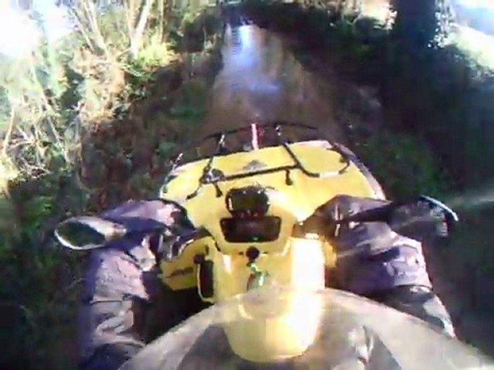 sortie  du 18/12/2011
