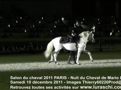 salon du cheval 2011 nuit du cheval Mario Luraschi dressage des chevaux