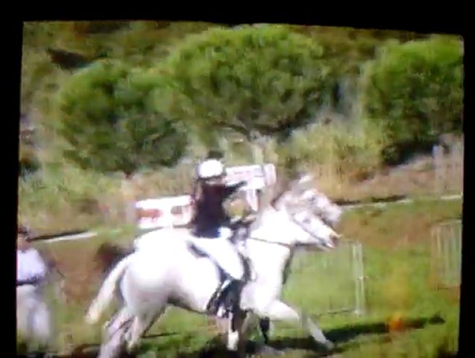 Fete du Cheval 1995