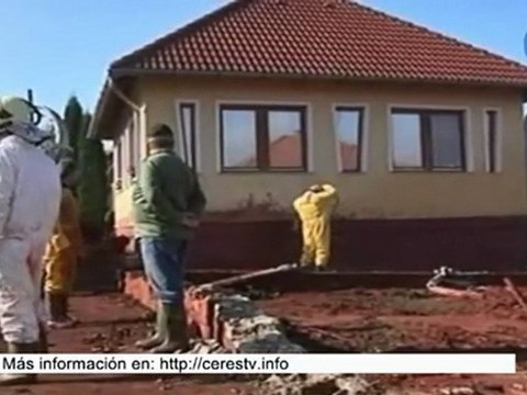 Vertido tóxico en el Danubio: Miles de peces muertos en los afluentes contaminados