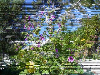 LAS SEVILLANAS DEL ADIOS - LADYHAGUA