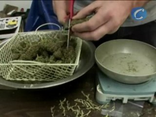 California rechaza la legalización de la marihuana