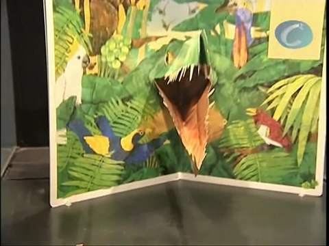 Exposición 'Páginas vivas. La Ciencia en los libros desplegables'