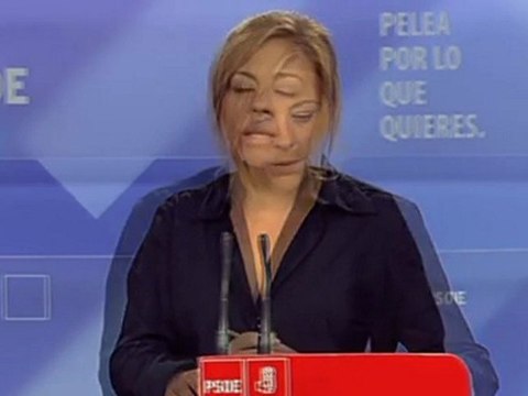 Elecciones 20N PSOE, Valenciano