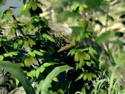 Sniper : Ghost Warrior (PS3) - Action trailer