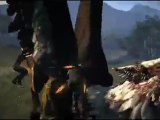 Dragon's Dogma (PS3) - Combat contre le griffon