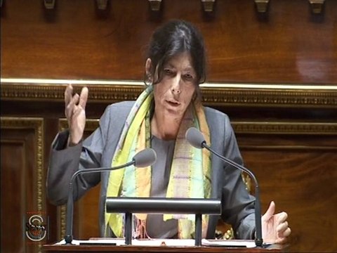 Virginie KLES le 24 octobre 2011 dans la discussion générale sur la PPL CIOTTI