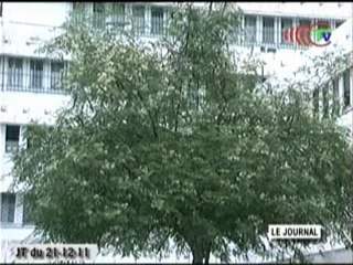 Journée de restitution des recherches sur le Moringa Oleifera