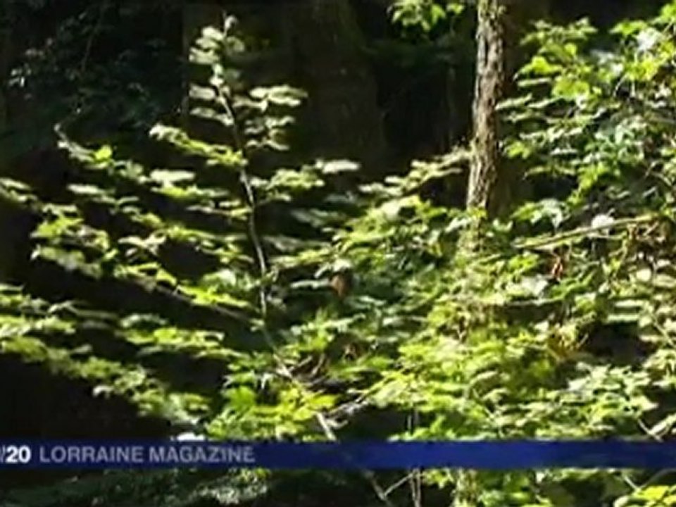 Journal France 3 Nancy du 23 septembre 2011