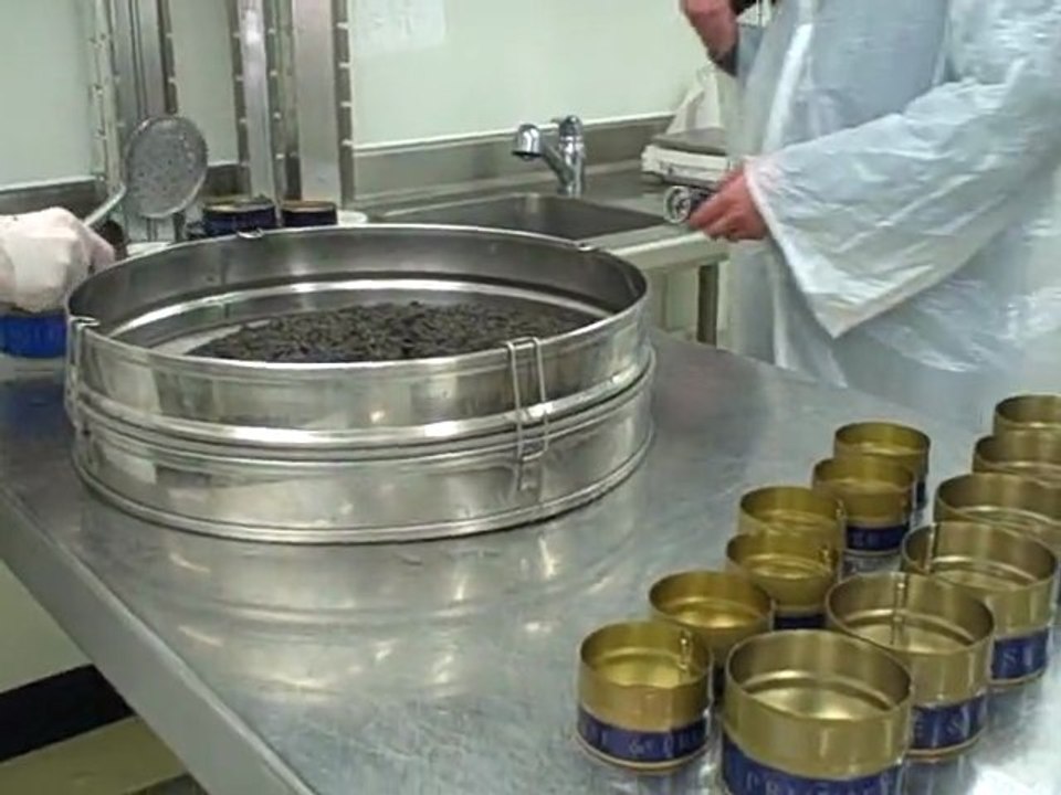 Préparation du caviar - Après le salage : Egouttage et mise en pot