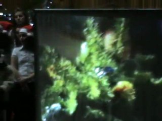 Gala "20 de ani de colinde...cu prof. Rodica Gheorghiu" part 8