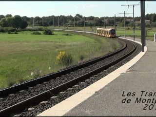 Les Tramways de Montpellier 2011