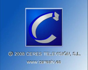 La Bolsa cierra su peor año de su historia y baja un 40%