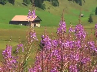 Ville d'Evian: nature & activités