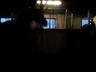 Si Belle Du Hautbois petite péteuse aux bruits de dinosaure