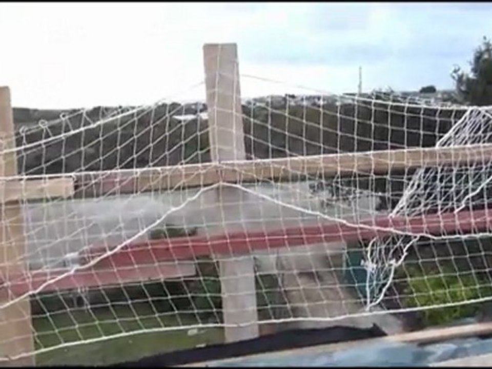 14 decembre 2011