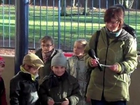 Saint-Nicolas : les enfants plantent l'arbre de la Laïcité