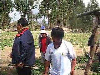 Padres castigan a sus hijos con latigazos por robar