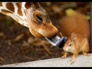 Don't Worry, Be Happy