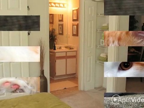 Wesley Park Apartments in Norcross, GA - ForRent.com