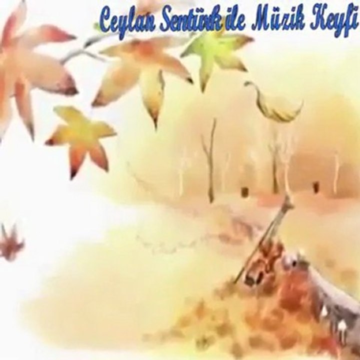EY YILLAR YENİLMEDİM SİZE