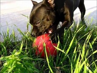 2007-08-06 Vodka et sa Boomer