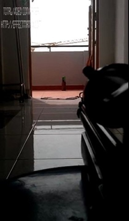 TEST SÚNG @.@