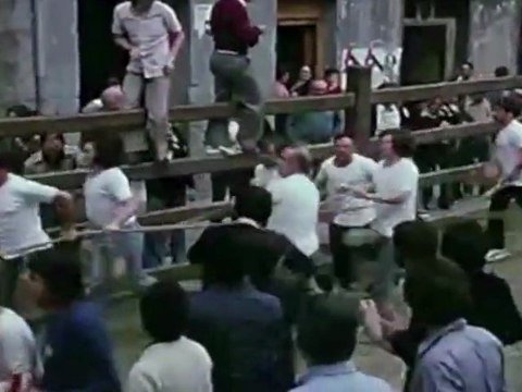 Cine y Estado en la Transicion Democratica Española