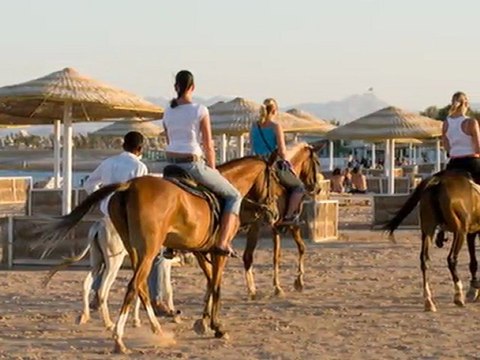 Magawish Swiss Inn hotel Hurghada - Eldorado travel Egypt