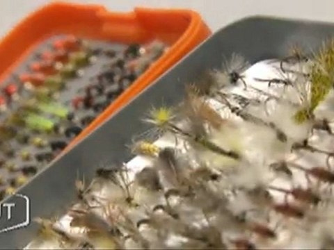 La pêche à la truite attire les jeunes (La Roche-sur-Yon)