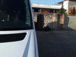 Inchirieri microbuze Arad ,rent a car Arad 0754 569 594