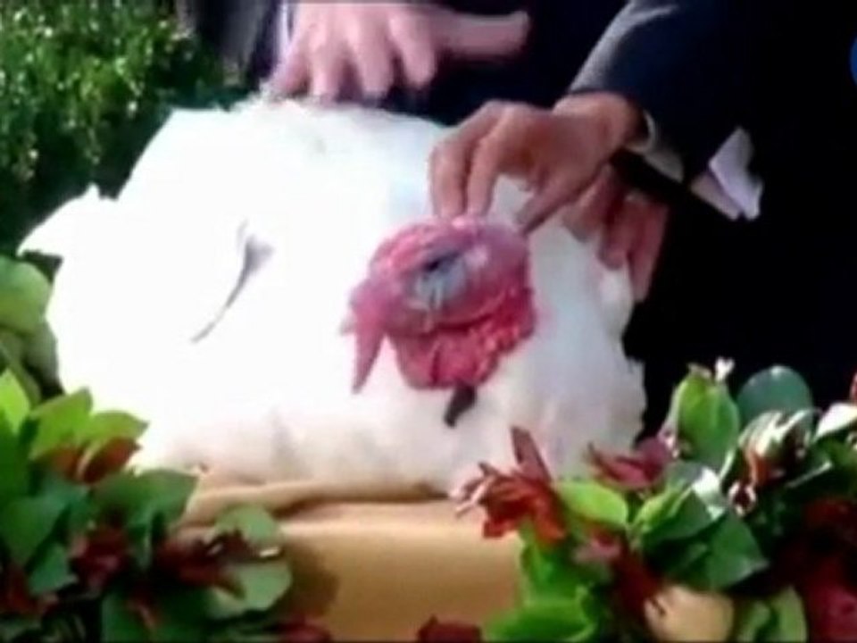 President Obama pardons turkey
