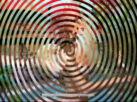 TAMMY WYNETTE Mini concert