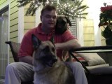 Giant breed, English Mastiff 140 pnds at 7 months, Tucker, and magic a 6 year old German shepard.