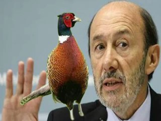 El caso Faisán protagoniza, de nuevo, la sesión de control al Gobierno