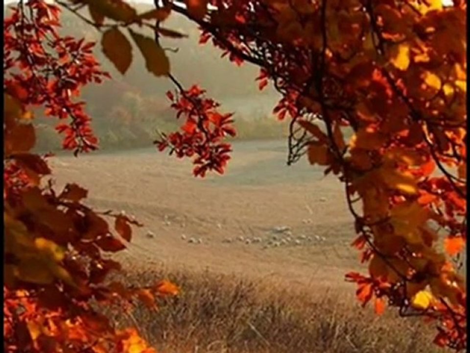 şiir Kayip Siir 2012