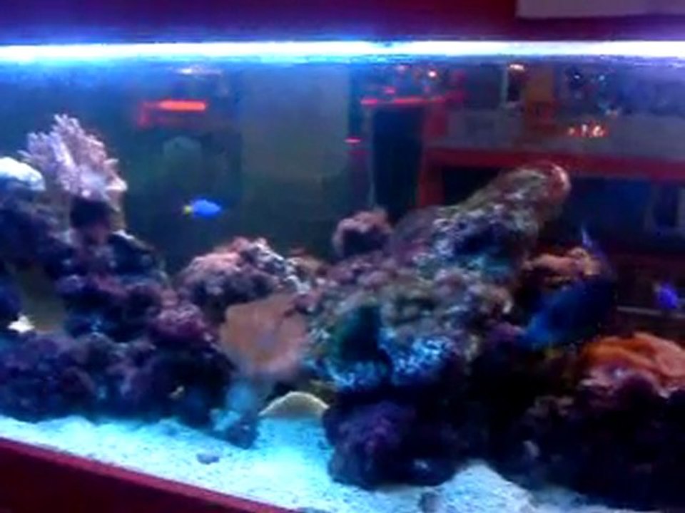 poissons 2 bowling