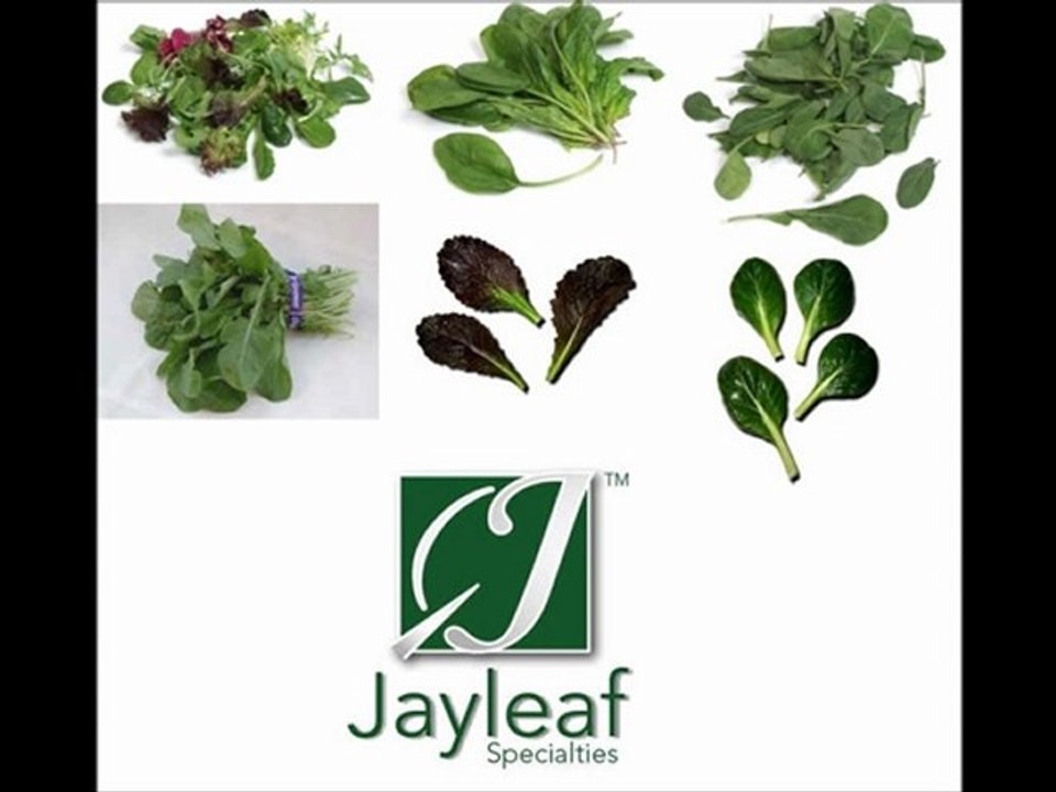 An On-site Washing System for Tote Bins and Trays-Henry Catalan-12-22-2011