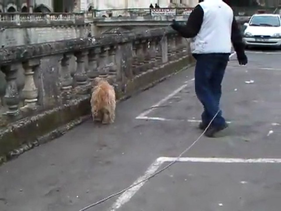 Recherche Utilitaire "Piste" N3_P1 en  milieu totalement urbain