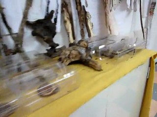 Atelier gravure Colombier XII-2011