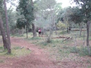 CCE LA LOUB DEC 2011 -4-