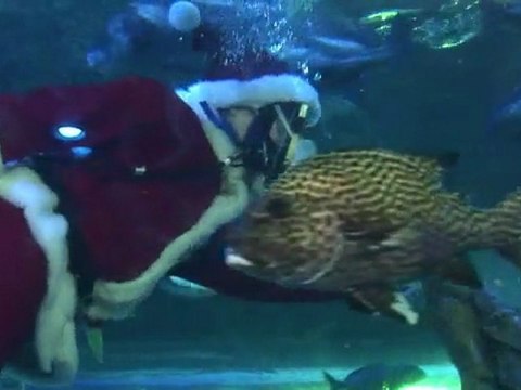 Les Pères Noël les plus improbables