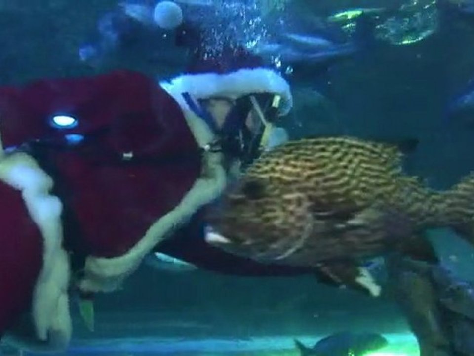 Les Pères Noël les plus improbables