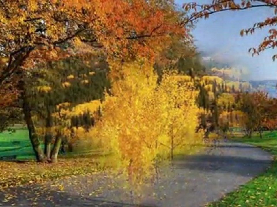 OĞUZ AKSAÇ-CEYLAN GÖZLERİNE