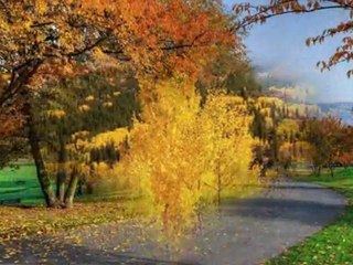 OĞUZ AKSAÇ-CEYLAN GÖZLERİNE